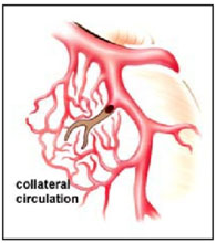 patient_resource_3